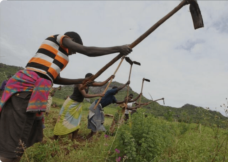 Agriculture Programs 3