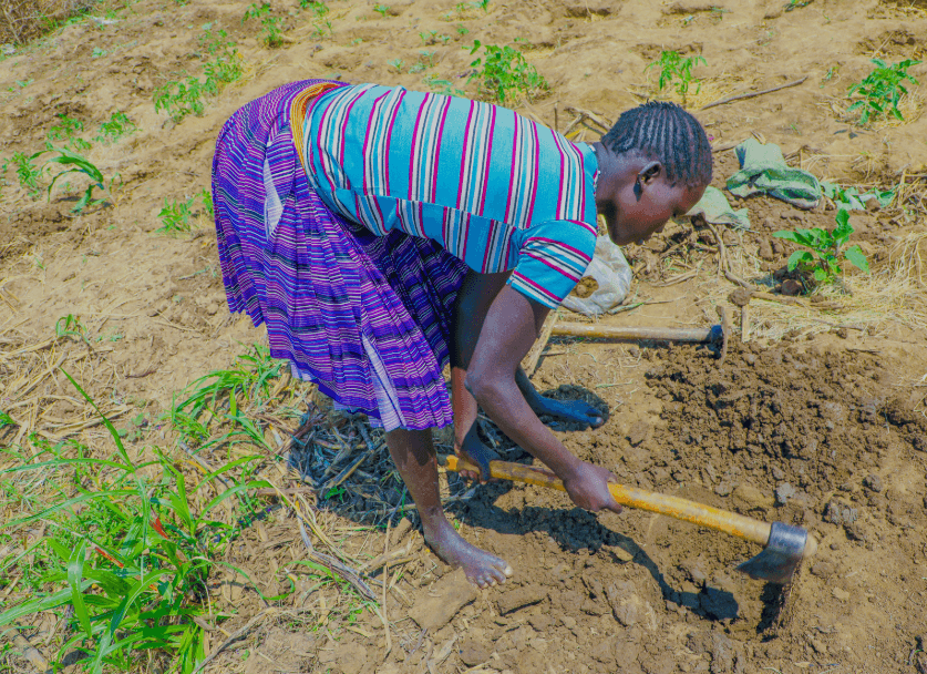 Agriculture Programs 2